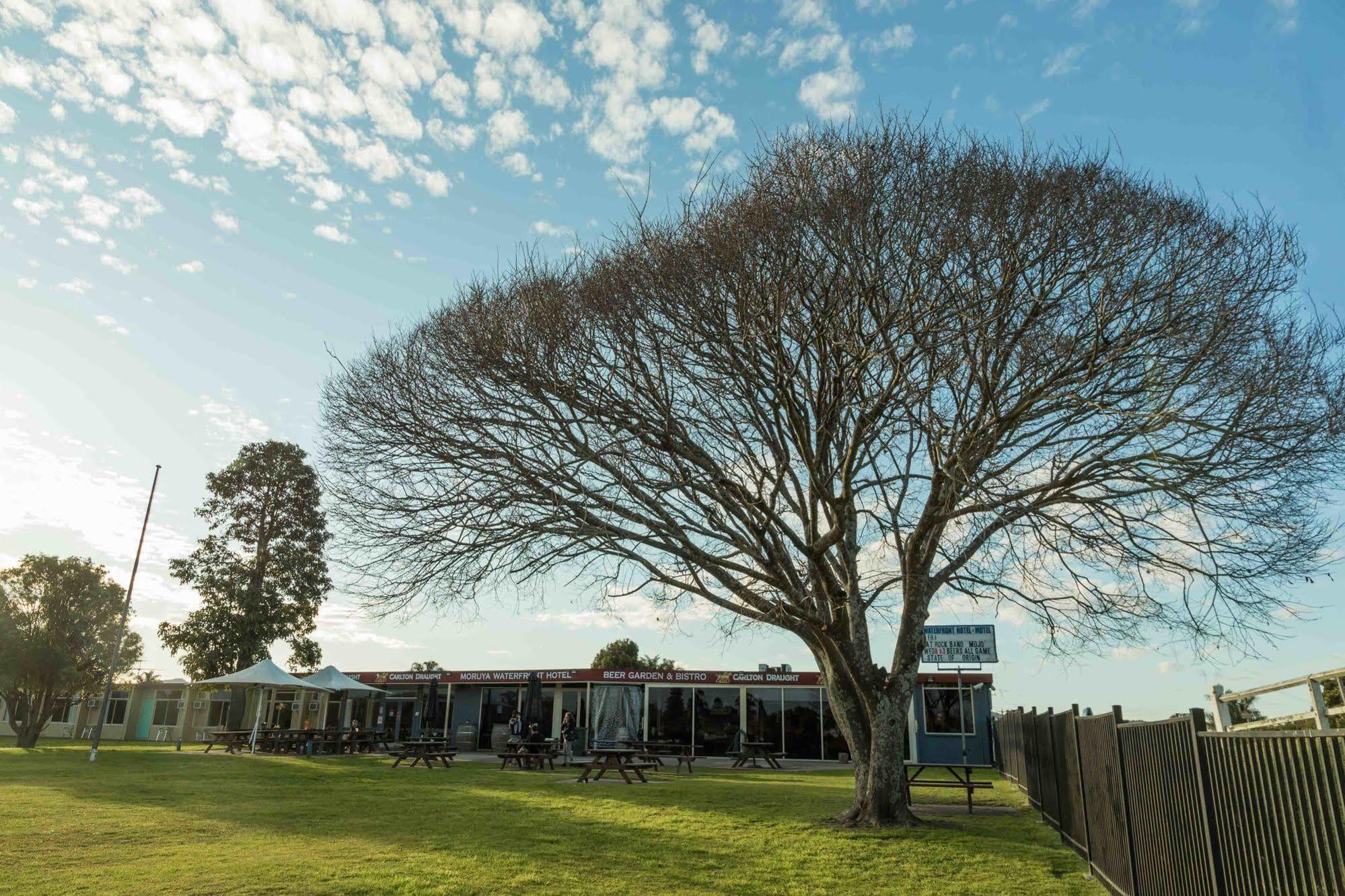 Moruya Waterfront Hotel Motel Экстерьер фото